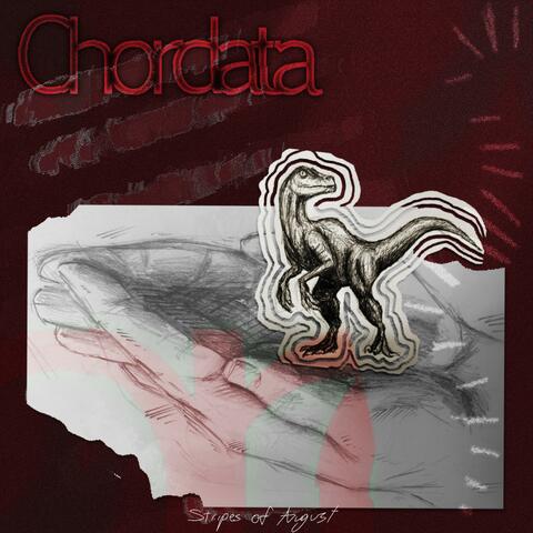 Chordata