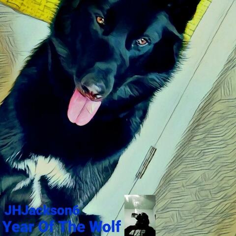 Year of The Wolf