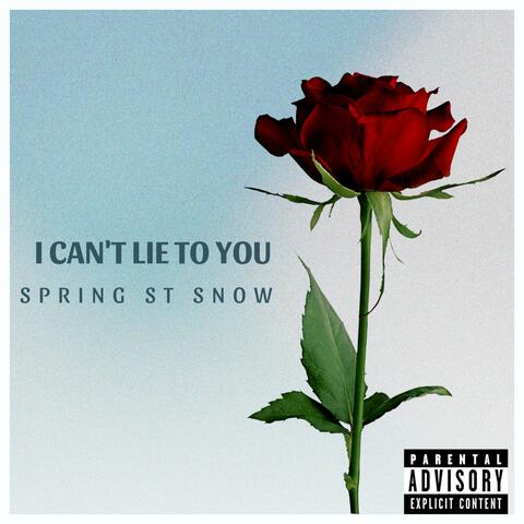 I Can't Lie To You