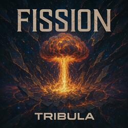 Fission