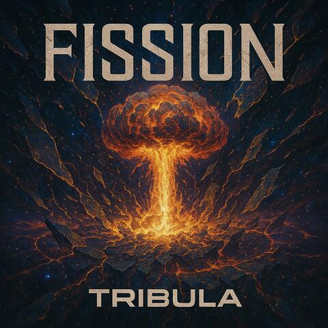 Fission