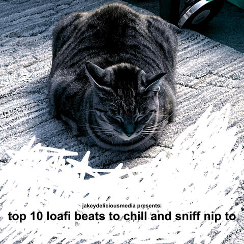 top 10 loafi beats to chill and sniff nip to