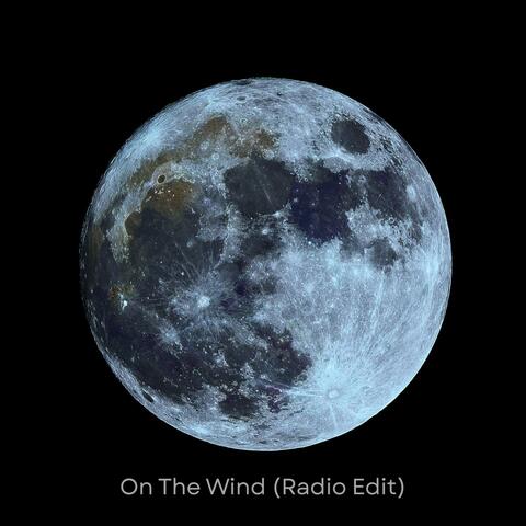 On The Wind (feat. Thaddaeus Magley) [Radio Edit]