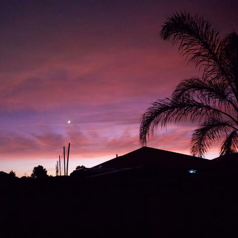 I think I might have just cracked the code