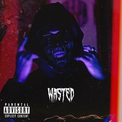 Wasted (feat. paranoid)