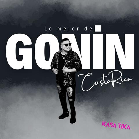 Lo mejor de Gonín
