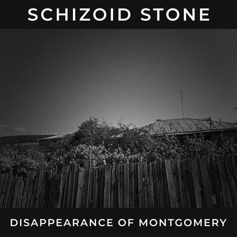 Disappearance of Montgomery