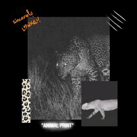 Animal Print