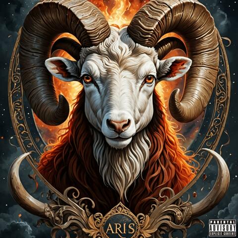 The Aris Experience Freestyle