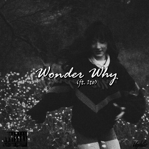 wonder why (feat. Ito)