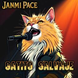 Gatito Salvaje