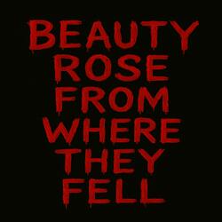Beauty Rose
