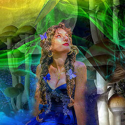 MULTIVERSE