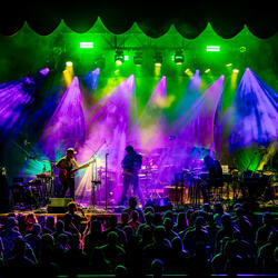 Face To Face > (Live)