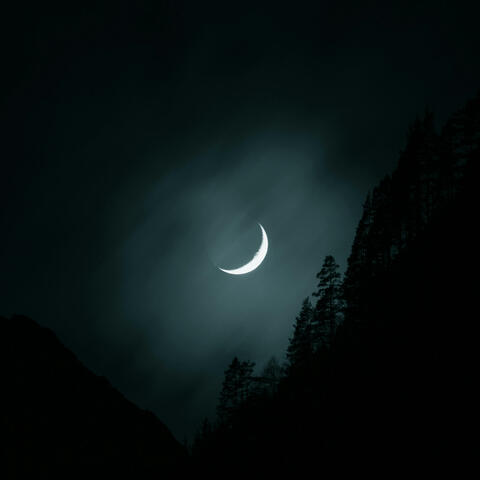 The Night I Changed