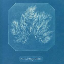 Moc Wielkiego Bucha (Single Edit)