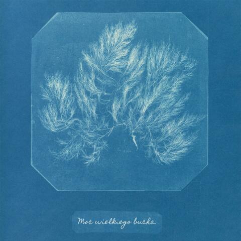 Moc Wielkiego Bucha (Single Edit)