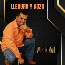 Llenura y Gozo