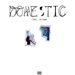 DOMESTIC