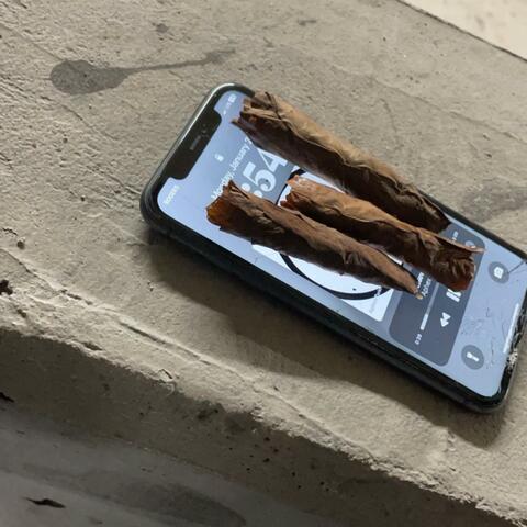 alien weed