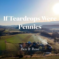If Teardrops Were Pennies