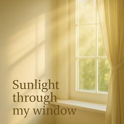 Sunlight through my window