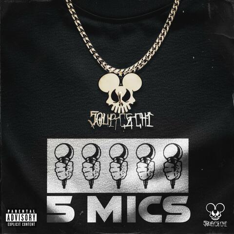 5 MICS