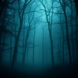 Hollow Roads