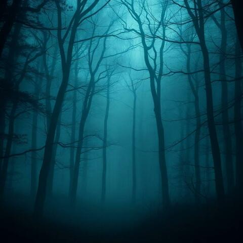 Hollow Roads