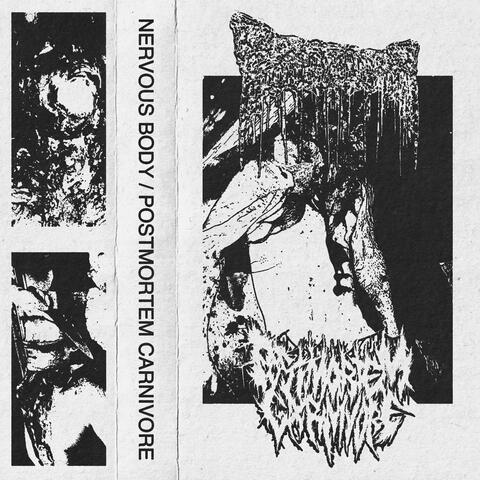 Split w/ Nervous Body