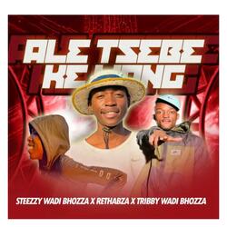 Ale Tsebe Ke Mang (feat. Tribby WaDi BhoZza (Prod By Rethabile WaDi Beat)) (Special Version)