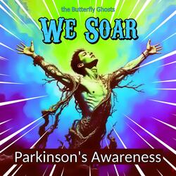We Soar