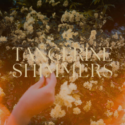 Tangerine Shimmers