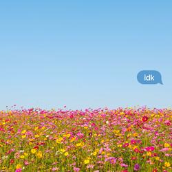 IDK (feat. Dylan Hannan)