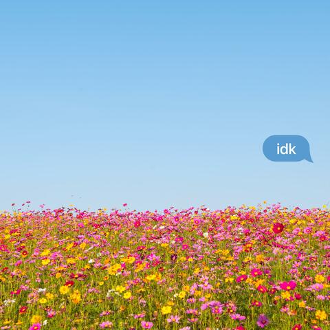 IDK (feat. Dylan Hannan)
