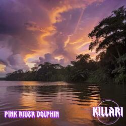 Pink River Dolphin