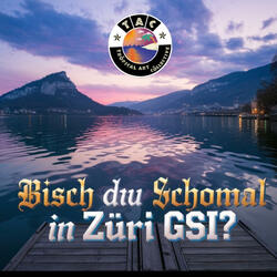 Bisch Du Schomal In Züri Gsi? (feat. Thiefy)