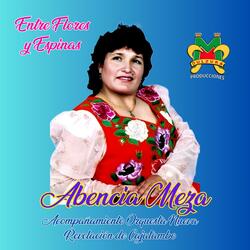 Regresa madre (feat. Abencia Meza)