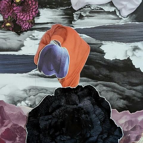 Creation, Vol. 2