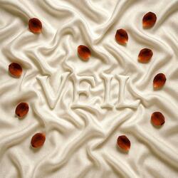 VEIL