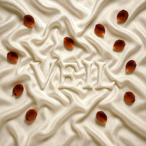 VEIL