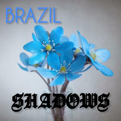 Shadows