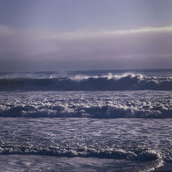 Where Do We Go From Here?