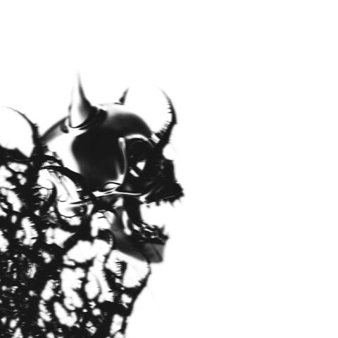 BLACK ICE