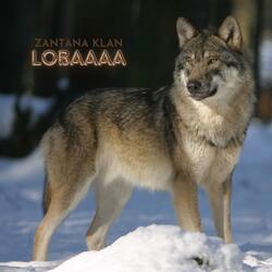 LOBA
