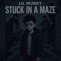 Stuck In A Maze