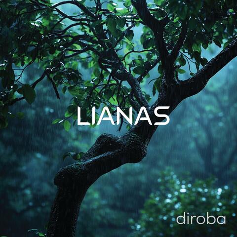 Diroba