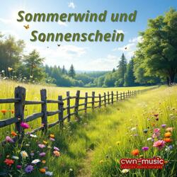 Sommerwind und Sonnenschein