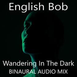 Wandering In The Dark