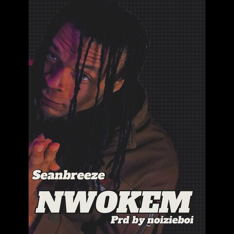 Nwokem